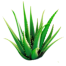 Centrum Pohoda Logo